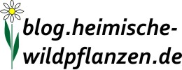 Heimische Wildpflanzen - Ein taufrisches Blogprojekt der Beckumer Textagentur ONLINETEXTE.com